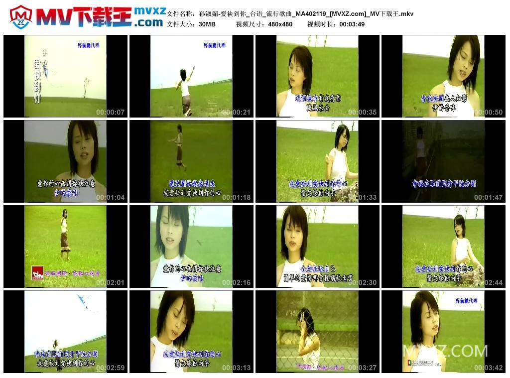 孙淑媚-爱袂到你_台语_流行歌曲_MA402119